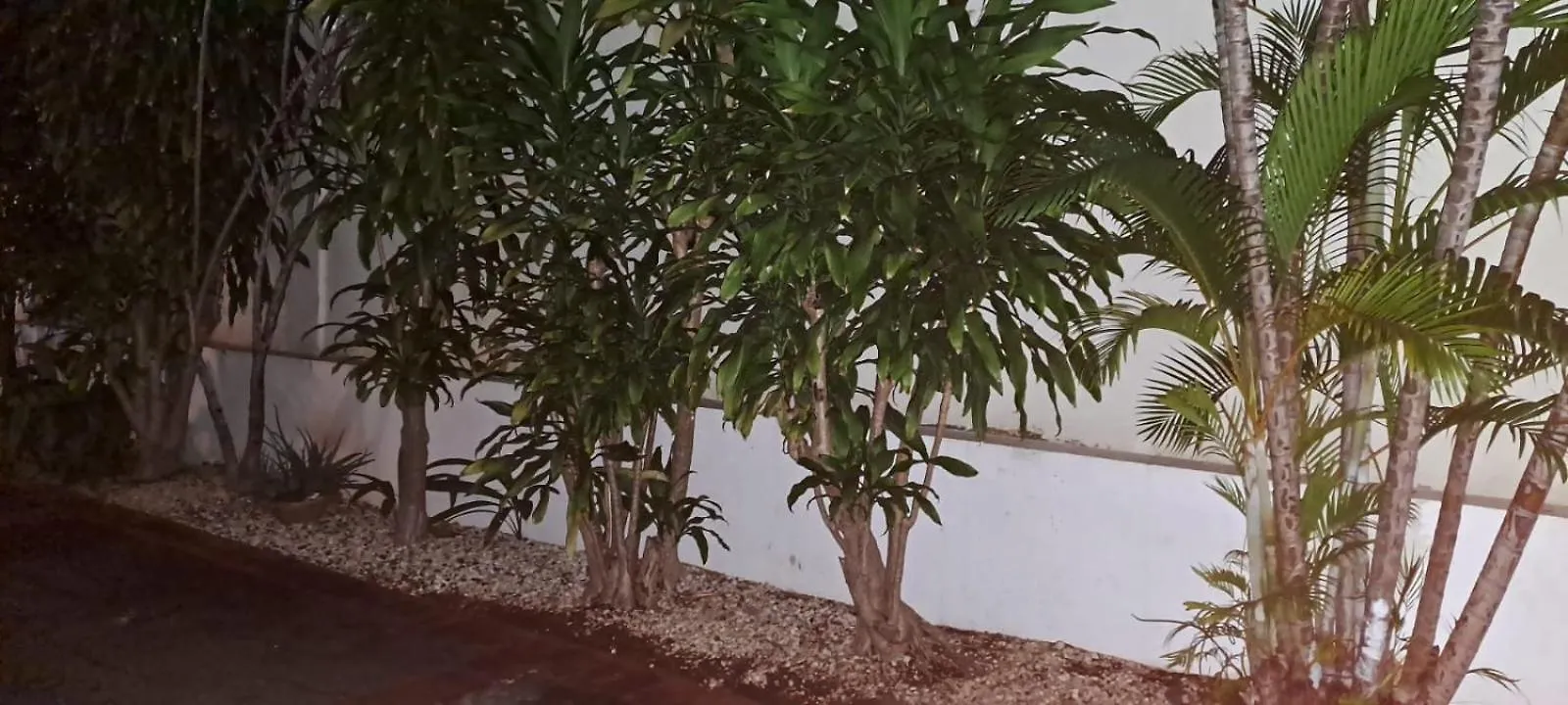 Apartment Nessla Cozy Home Santo Domingo